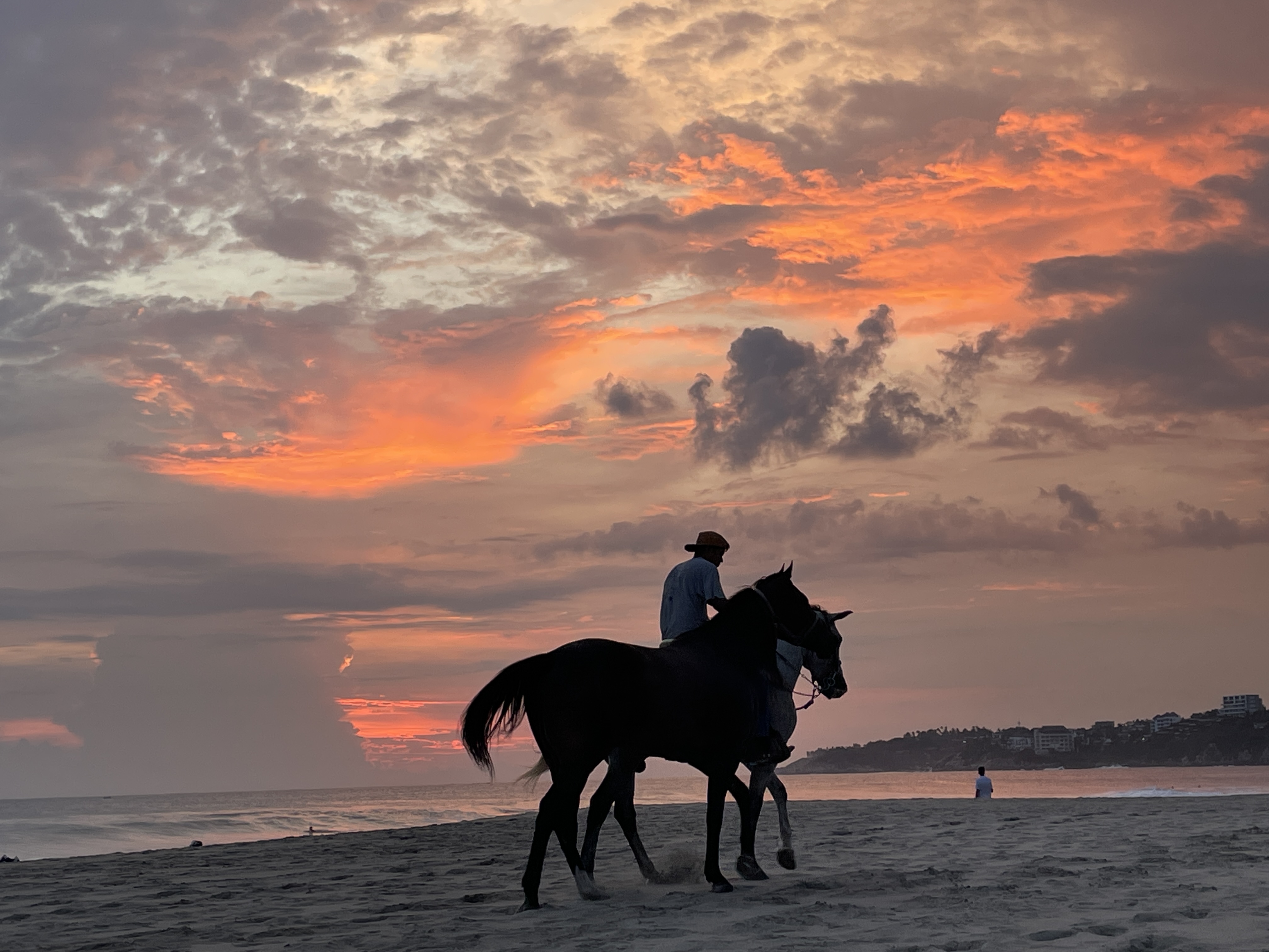 Horseback riding on the beach